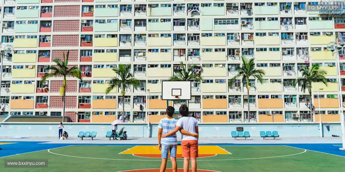 🎯 球星同款,即刻拥有!体育周边商城,解锁你的专属热爱!